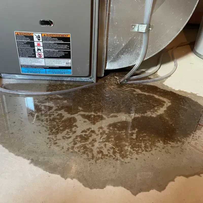 Appliance Leak Cleanup in Byron, IL